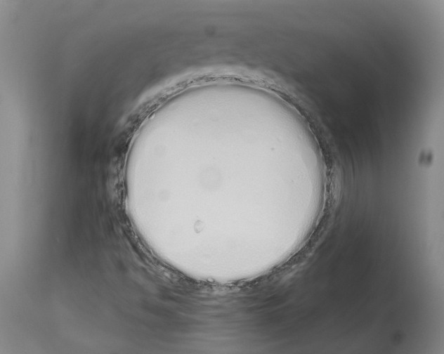 X0000114001494200911131128