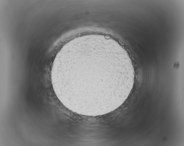 X0000114001495200911131128
