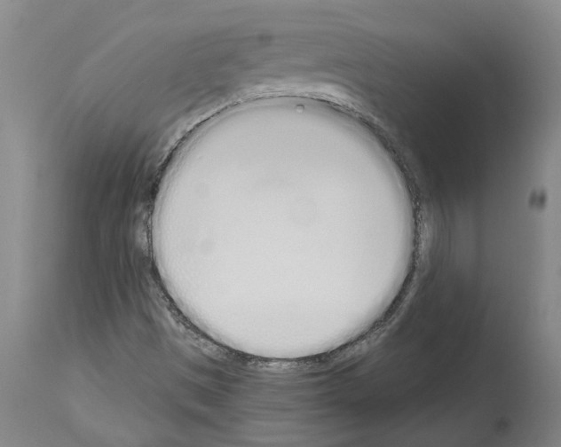 X0000114001497200911131128