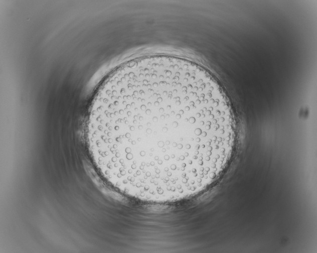 X0000114001499200911131128
