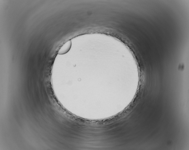 X0000114001500200911131128
