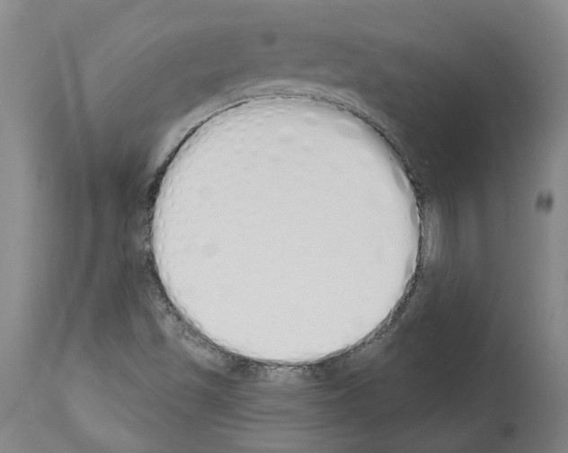 X0000114001501200911131128