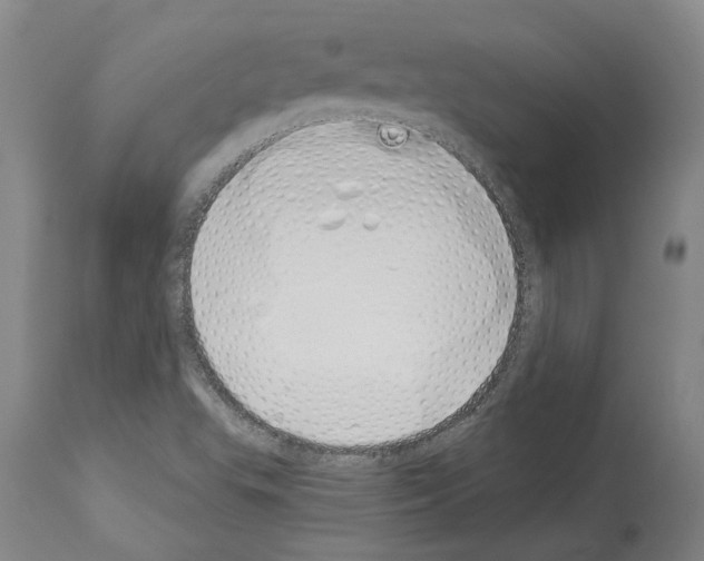 X0000114001503200911131128
