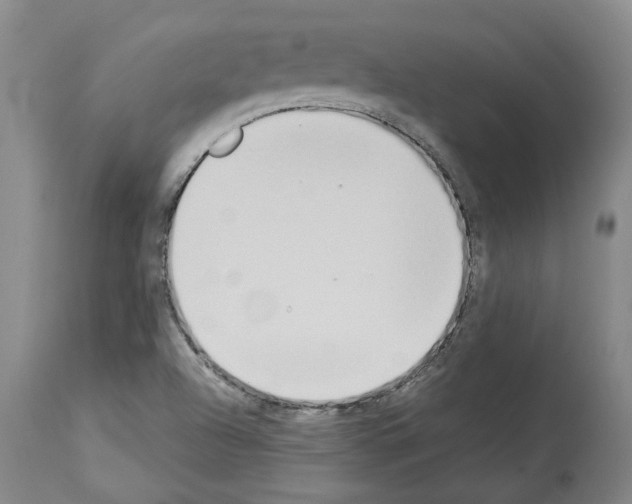 X0000114001504200911131128