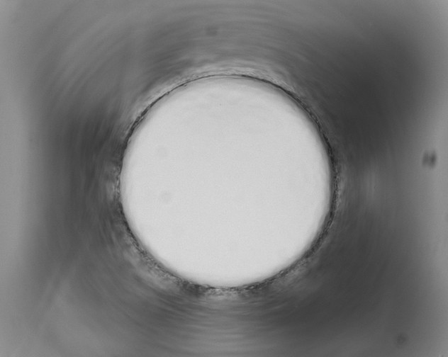 X0000114001505200911131129