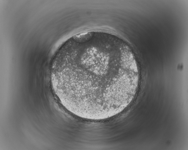 X0000114001506200911131129