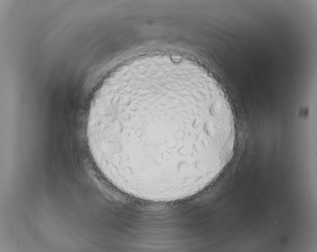 X0000114001507200911131129