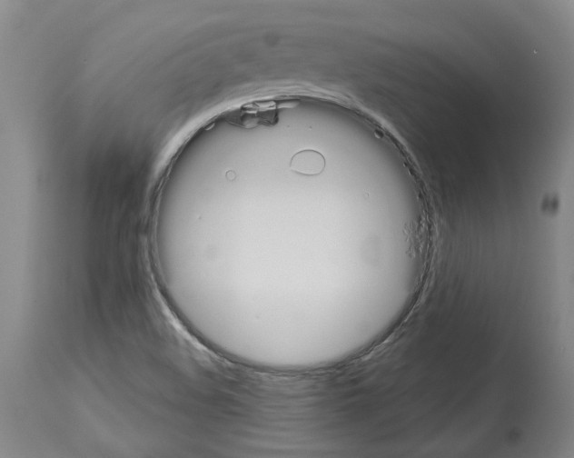 X0000114001508200911131129