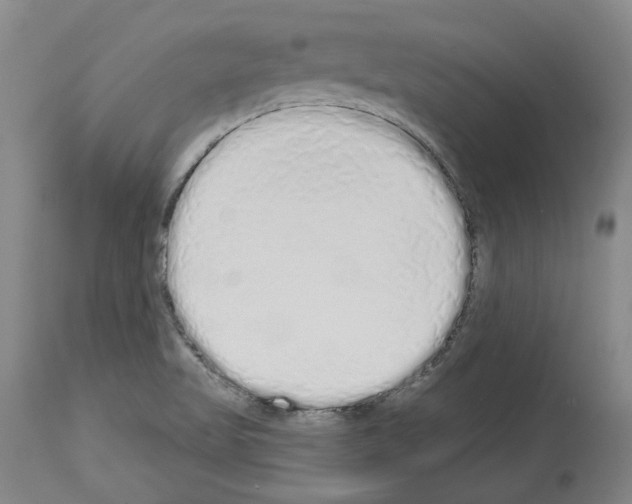 X0000114001509200911131129
