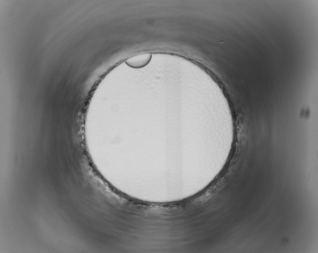 X0000114001510200911131129