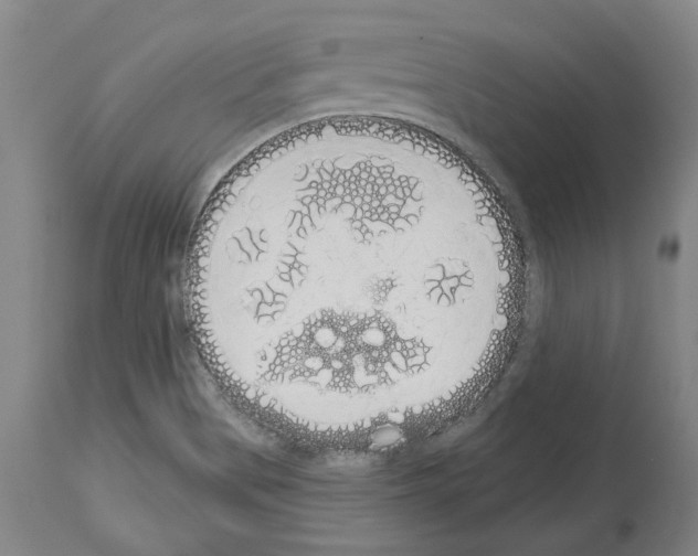 X0000114001513200911131129