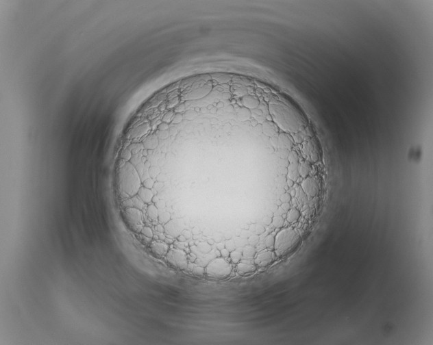 X0000114001514200911131129