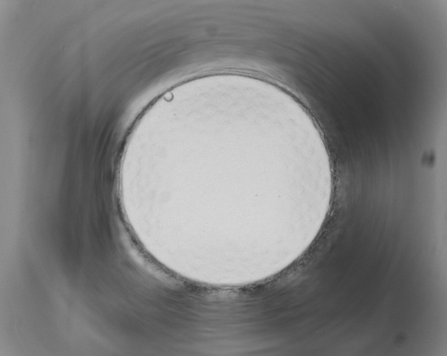 X0000114001515200911131129