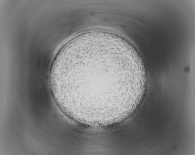 X0000114001517200911131129