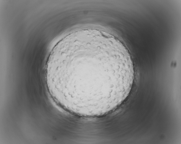 X0000114001519200911131129