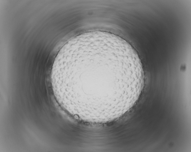 X0000114001521200911131129