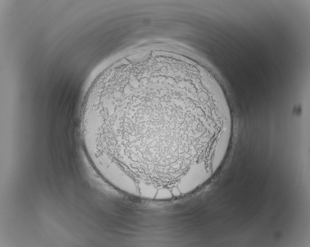 X0000114001522200911131129