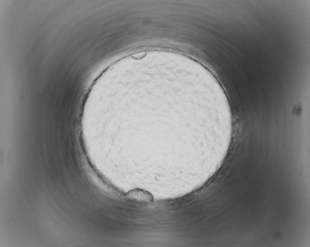 X0000114001523200911131129