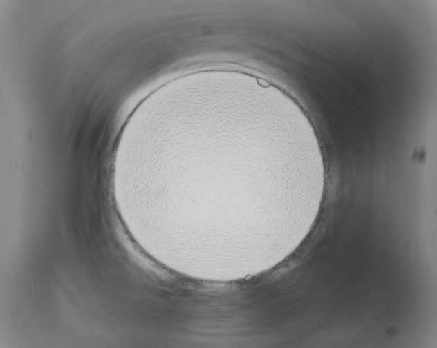 X0000114001526200911131129