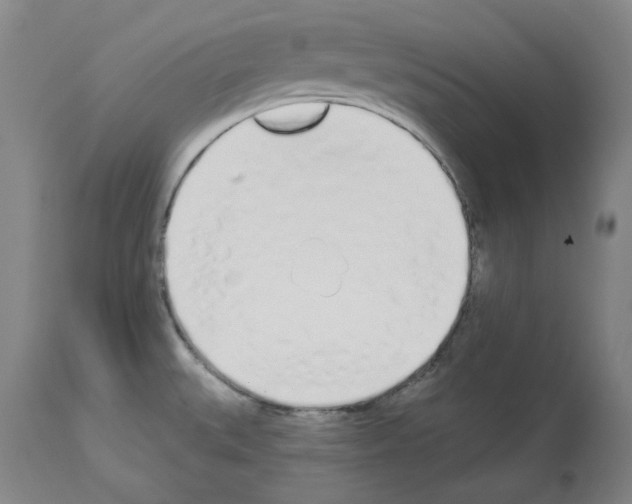 X0000114001527200911131129