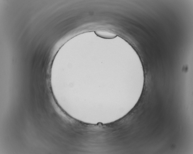 X0000114001528200911131129