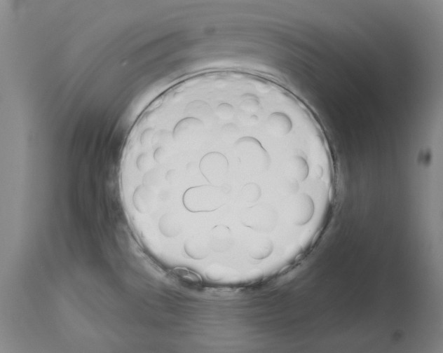 X0000114001529200911131129