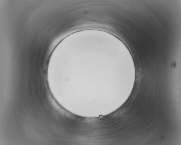 X0000114001531200911131129