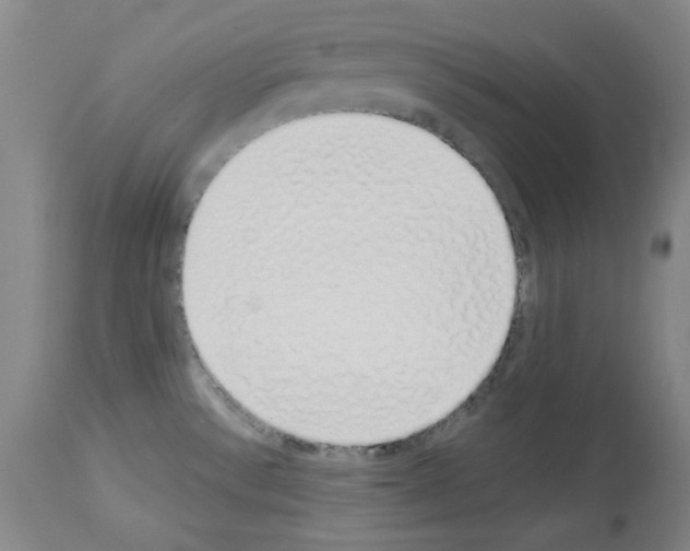 X0000114001532200911131129