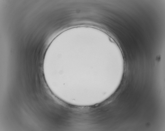 X0000114001533200911131129