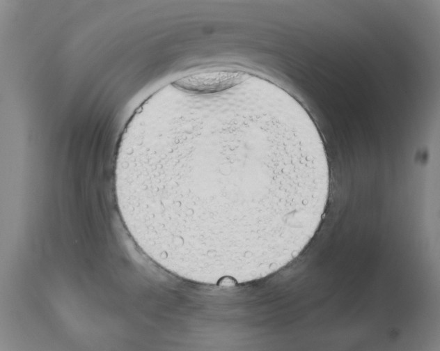 X0000114001534200911131129