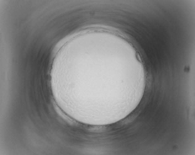 X0000114001535200911131129