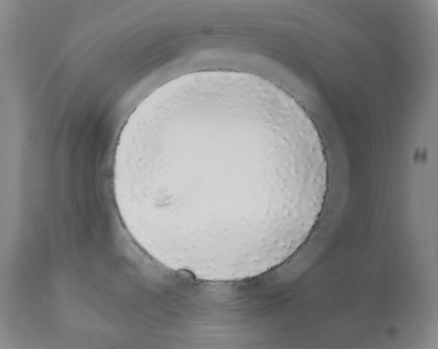 X0000114001536200911131129