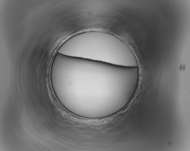 X0000114010001200910021003