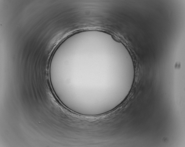 X0000114010002200910021003