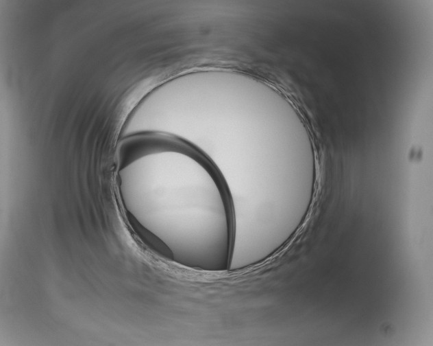 X0000114010003200910021003