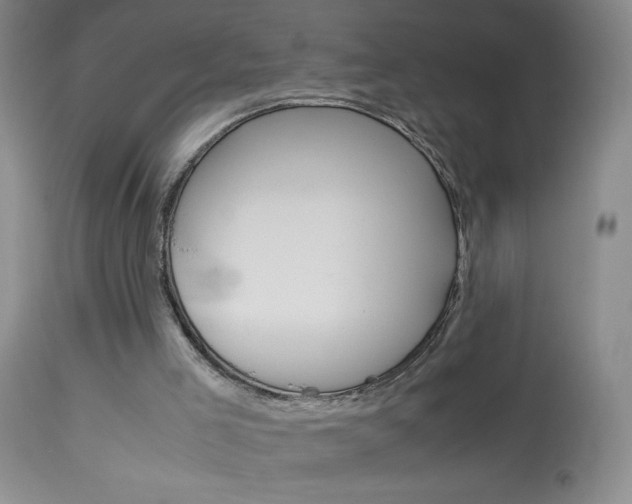X0000114010005200910021003