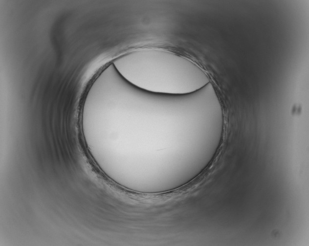 X0000114010006200910021003