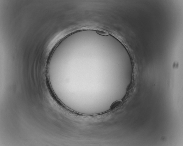 X0000114010007200910021003