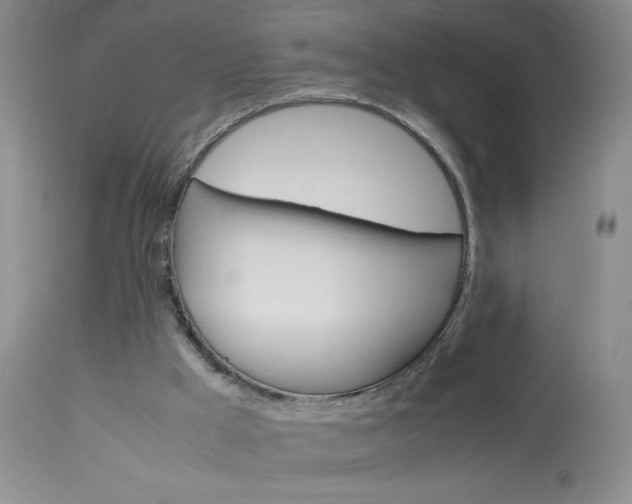 X0000114010009200910021003
