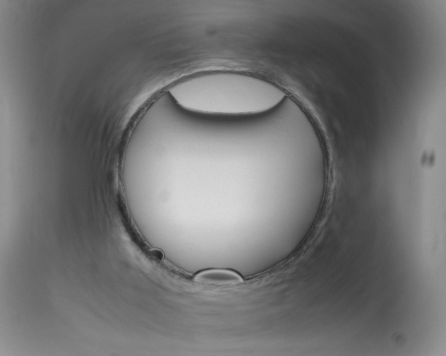 X0000114010011200910021003
