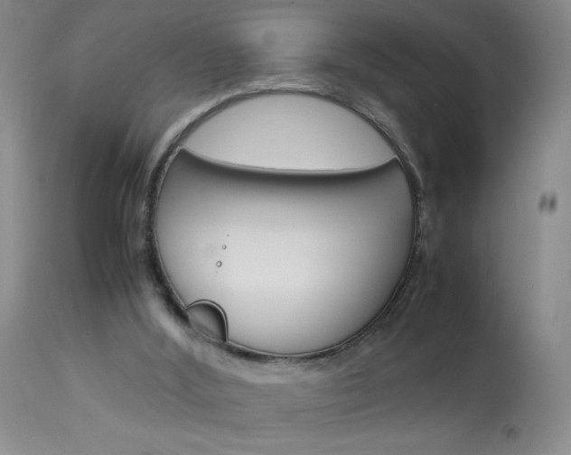X0000114010012200910021003