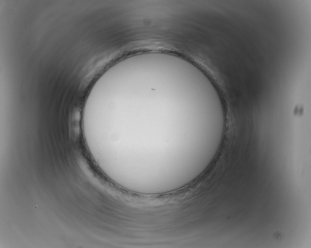 X0000114010014200910021003