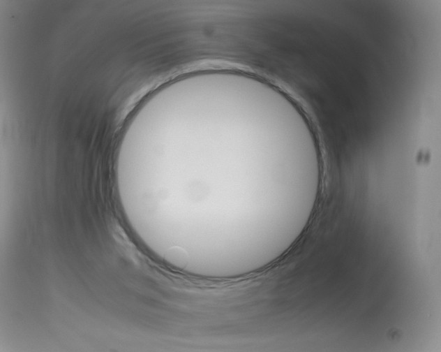 X0000114010015200910021003