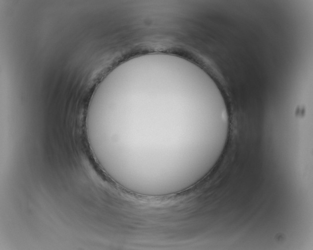 X0000114010018200910021003
