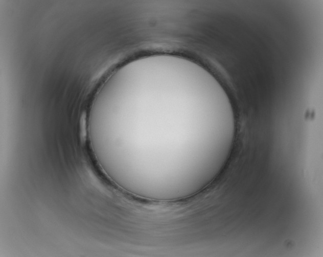 X0000114010020200910021003