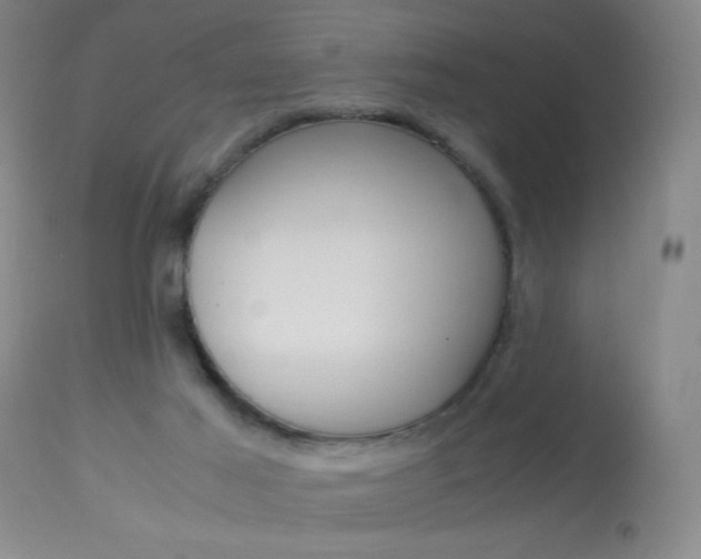 X0000114010021200910021003