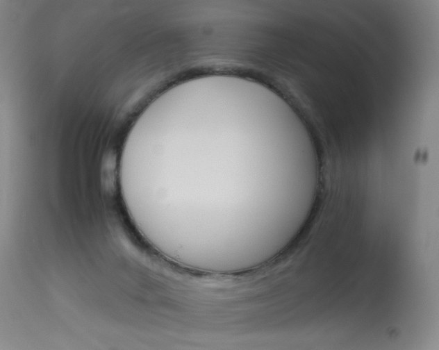 X0000114010024200910021003