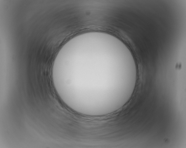 X0000114010025200910021003