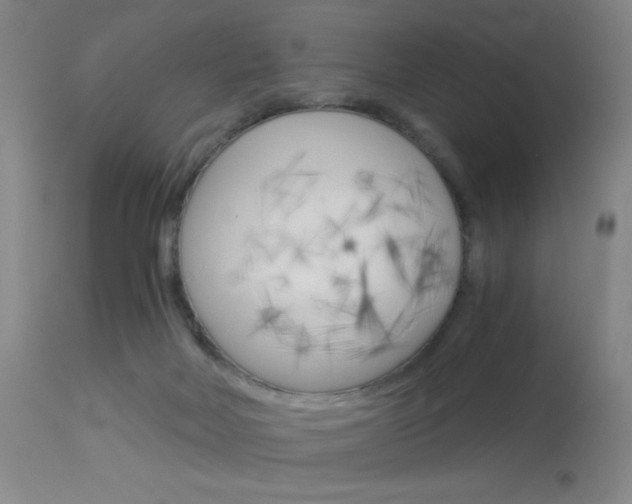 X0000114010026200910021003