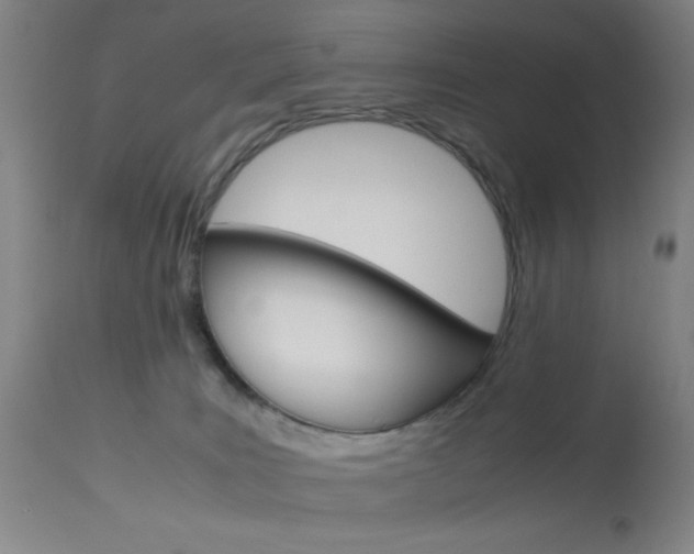 X0000114010035200910021003